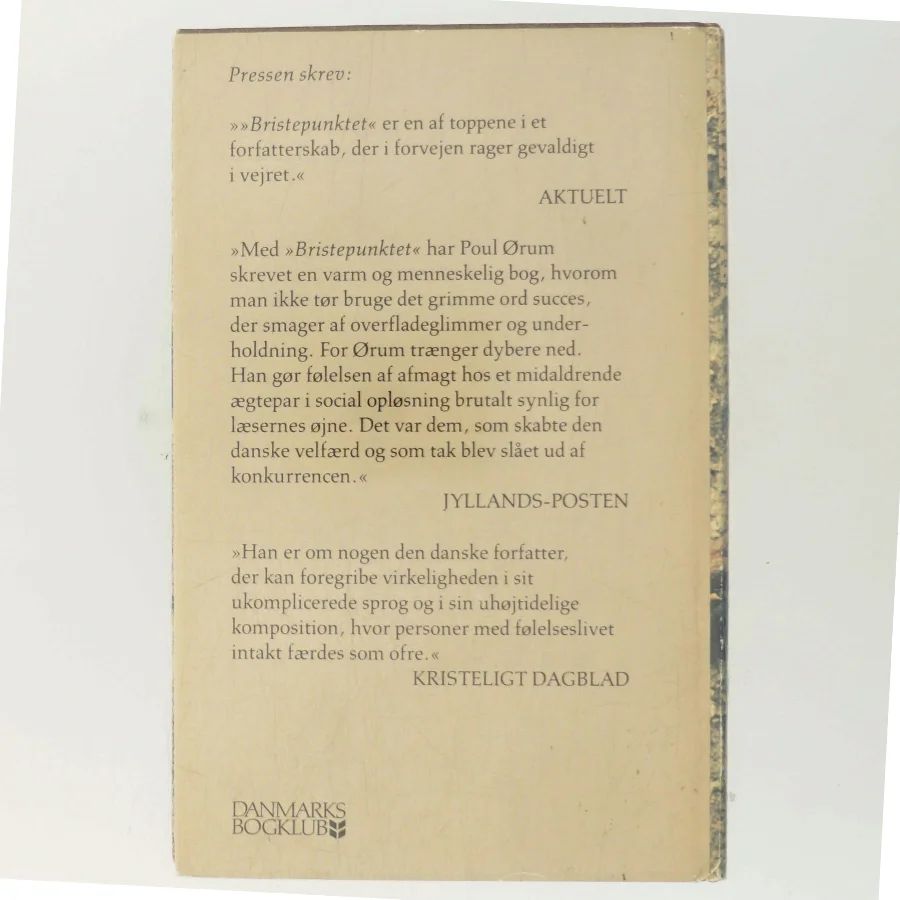 Bristepunktet af Poul Ørum (Bog)