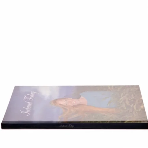 Fotobog 'Iceland Today'