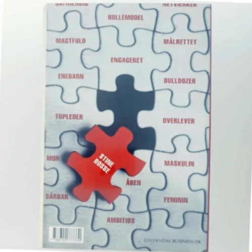 Stine Bosse : det handler om at turde af Jens Chr. Hansen (f. 1952) (Bog)