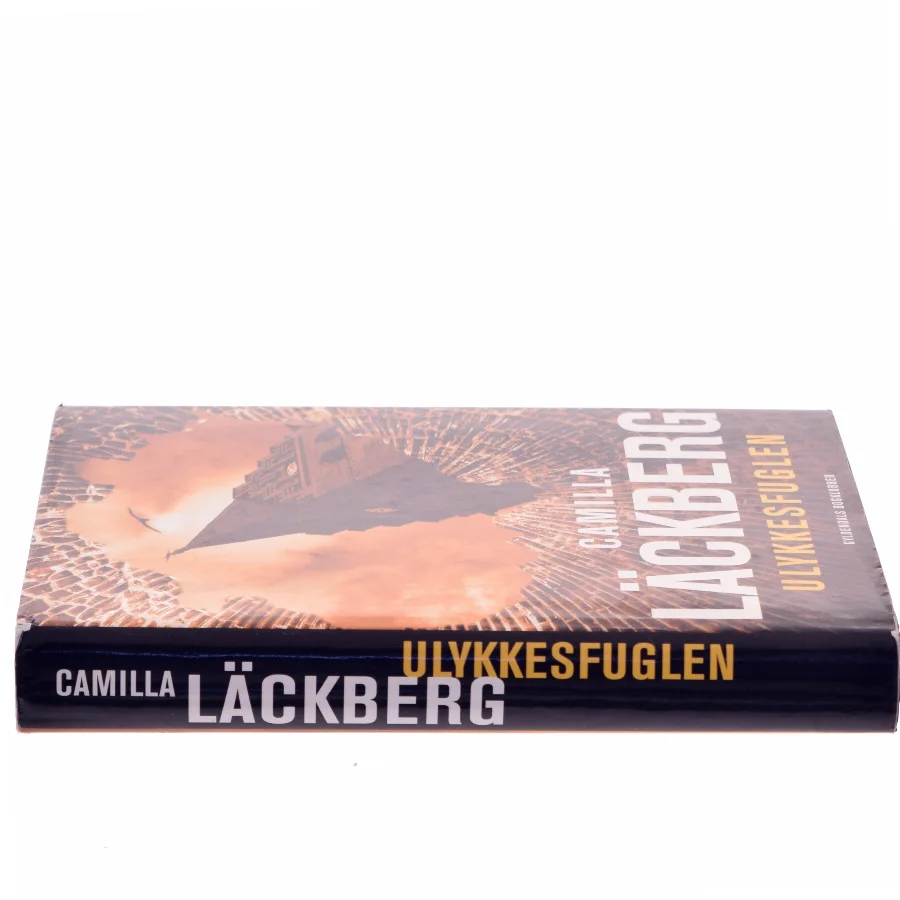 Ulykkesfuglen : kriminalroman af Camilla Läckberg (Bog)