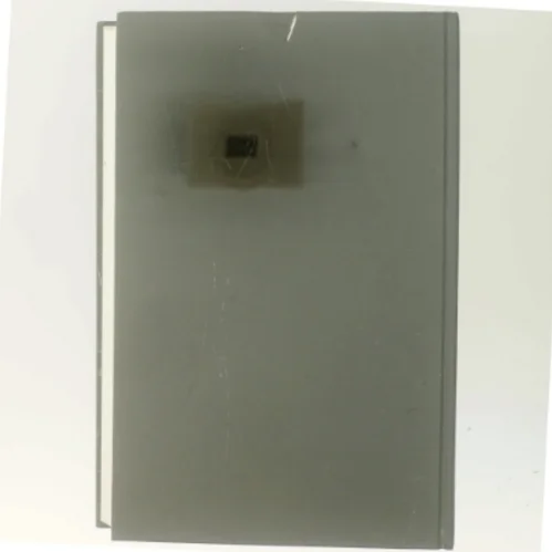 Den Glemte Grav af Simon Beckett (Bog)