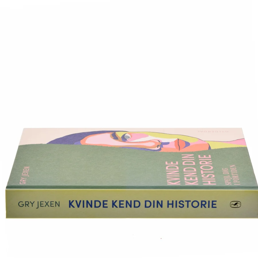 Kvinde kend din historie : spejl dig i fortiden af Gry Jexen (Bog)