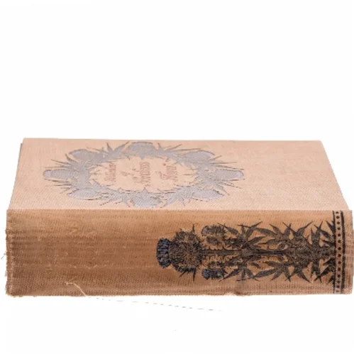 Billeder af Nordens Flora af <Bog forfatter ukendt> (Bog)