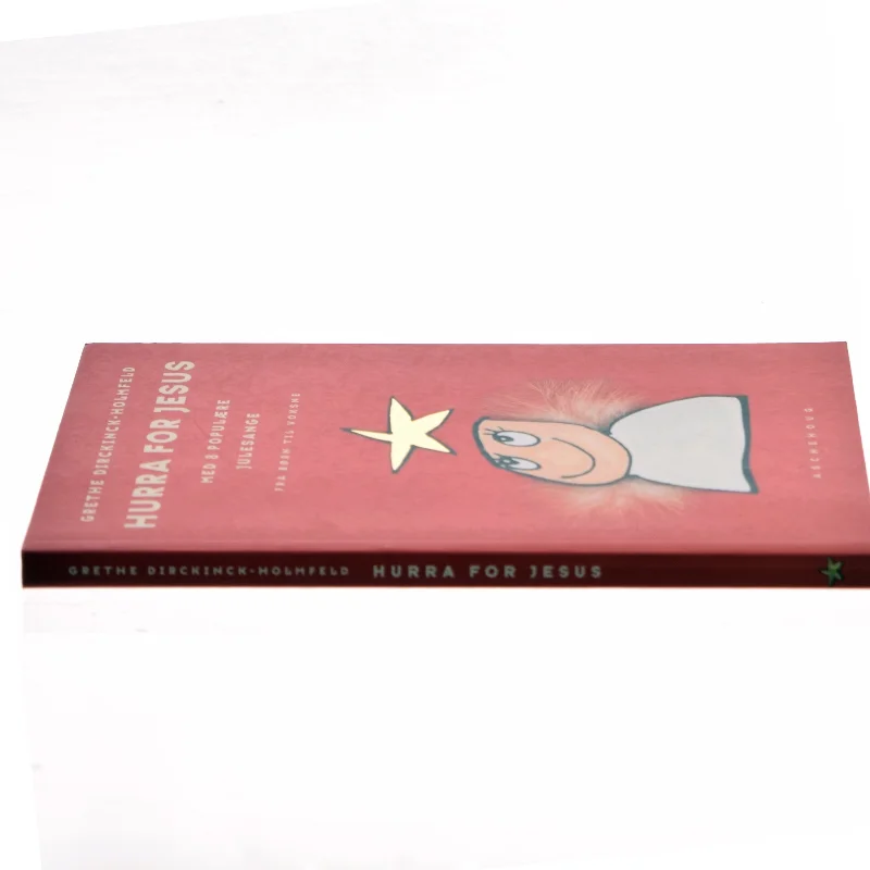 Hurra for Jesus af Grethe Dirckinck-Holmfeld (Bog)