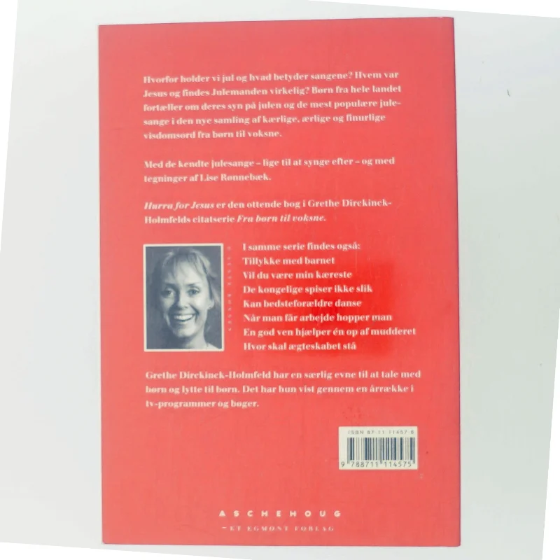 Hurra for Jesus af Grethe Dirckinck-Holmfeld (Bog)