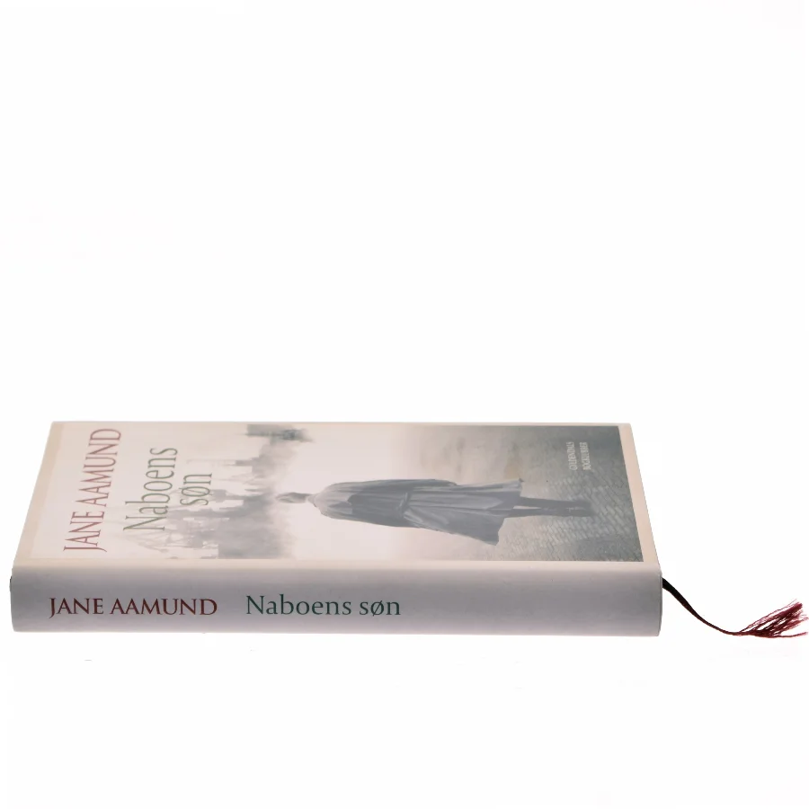 Naboens søn : roman af Jane Aamund (Bog)