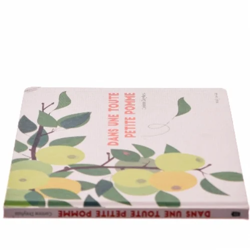 Dans une toute petite pomme af Corinne Dreyfuss (Bog)