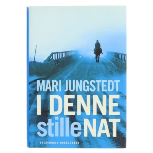 I denne stille nat : roman af Mari Jungstedt (Bog)