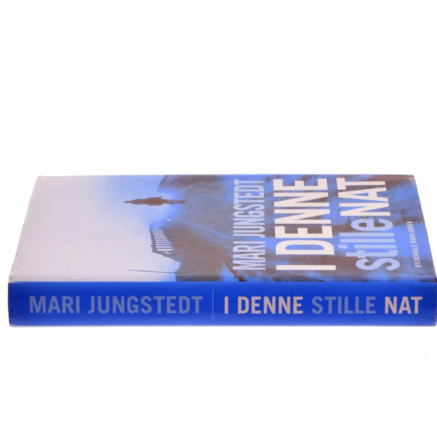 I denne stille nat : roman af Mari Jungstedt (Bog)