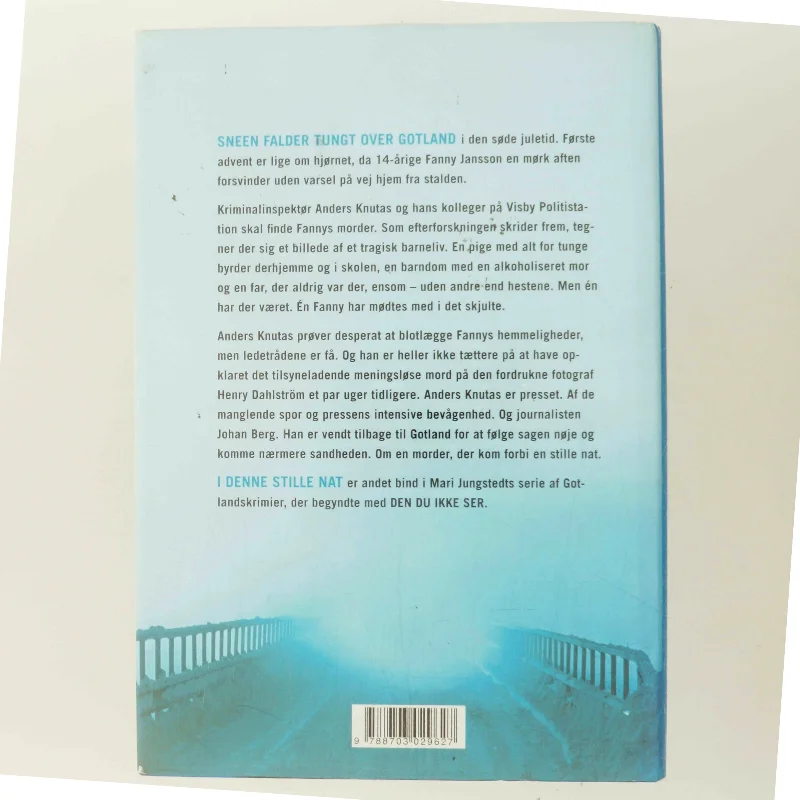 I denne stille nat : roman af Mari Jungstedt (Bog)