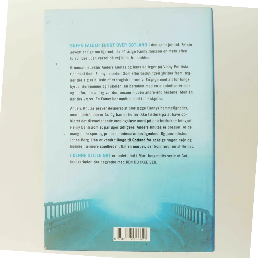 I denne stille nat : roman af Mari Jungstedt (Bog)