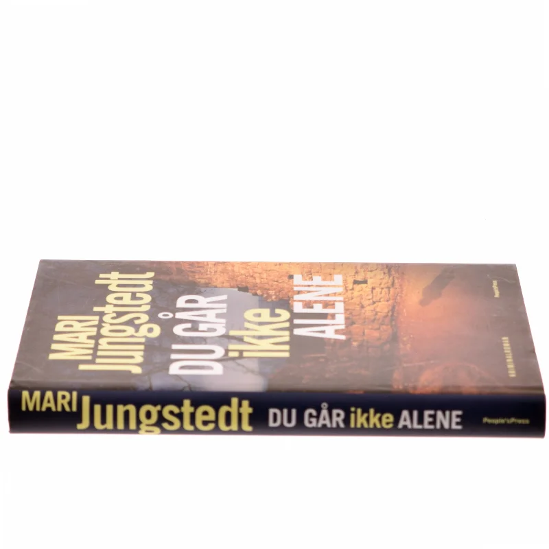 Du går ikke alene : kriminalroman af Mari Jungstedt (Bog)