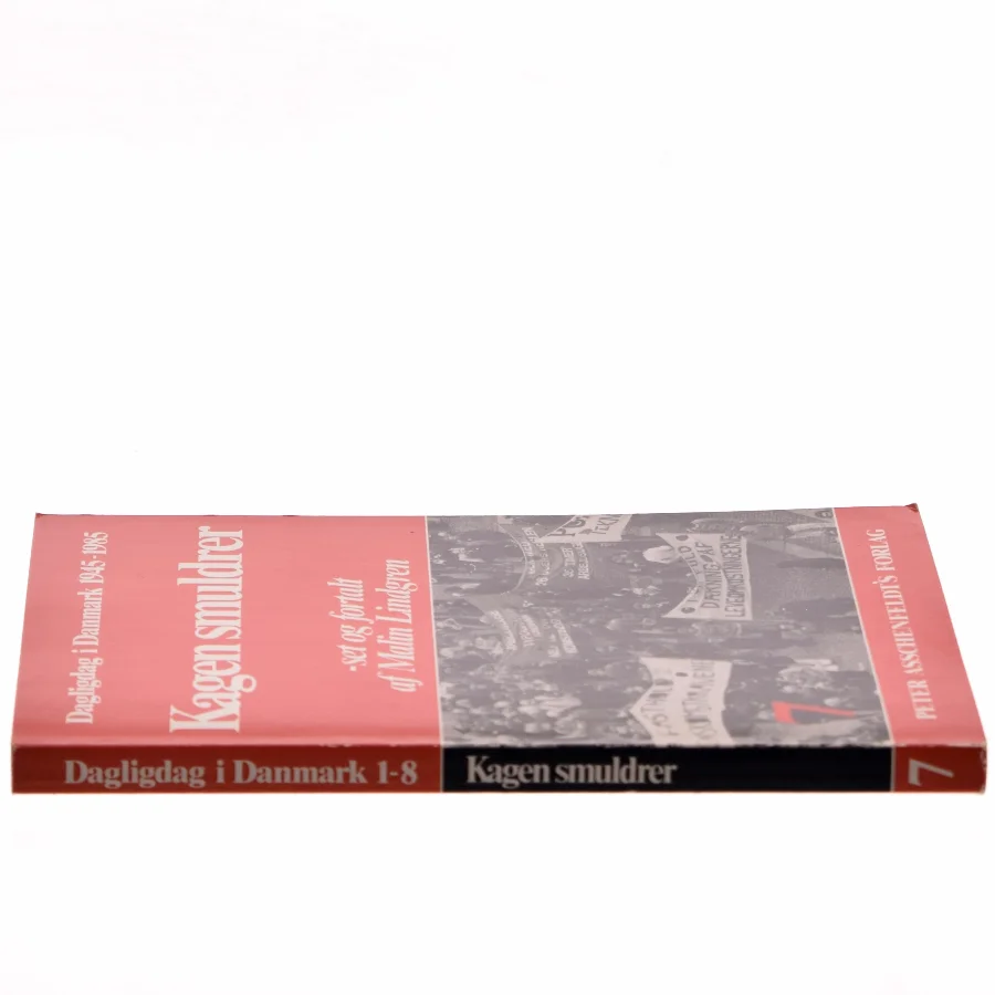 Kagen smuldrer af Malin Lindgren (Bog)