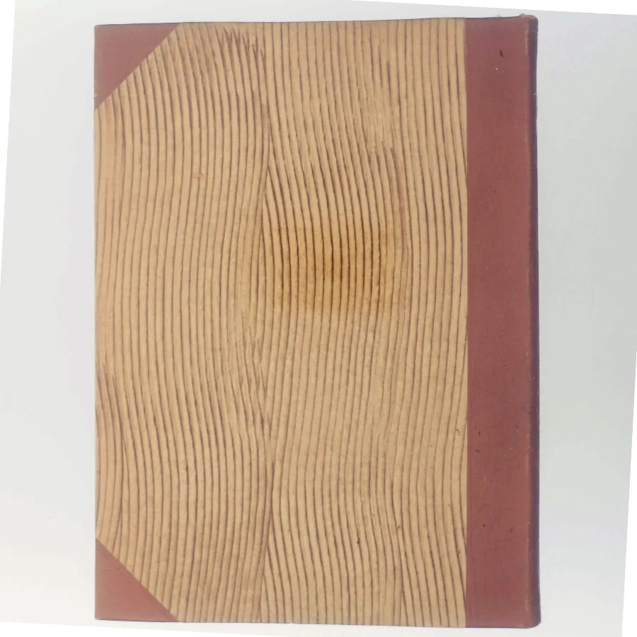 Den Unikke Bog af Jan Højstrup (Bog)