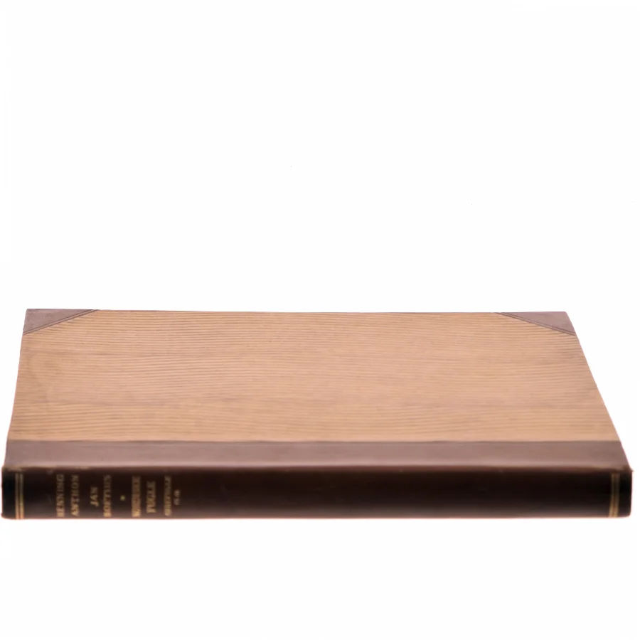 Den Unikke Bog af Jan Højstrup (Bog)