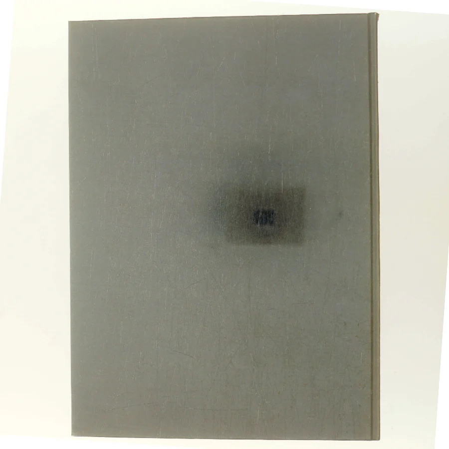 Senromansk tid: Danske kalkmalerier (Bog)