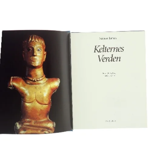 Keltenes Verden af Simon James (Bog)