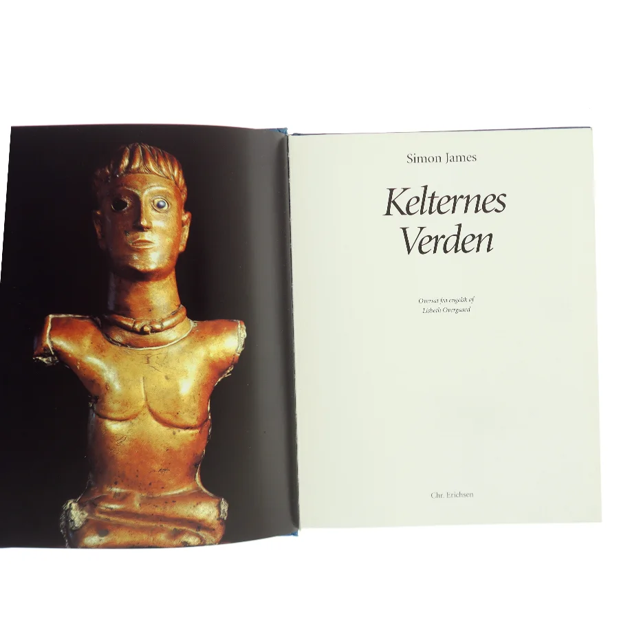 Keltenes Verden af Simon James (Bog)