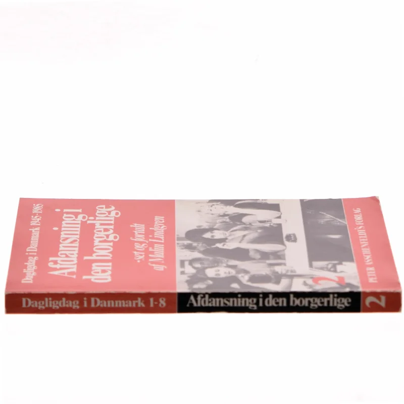 Afdansning i den borgerlige af Malin Lindgren (Bog)