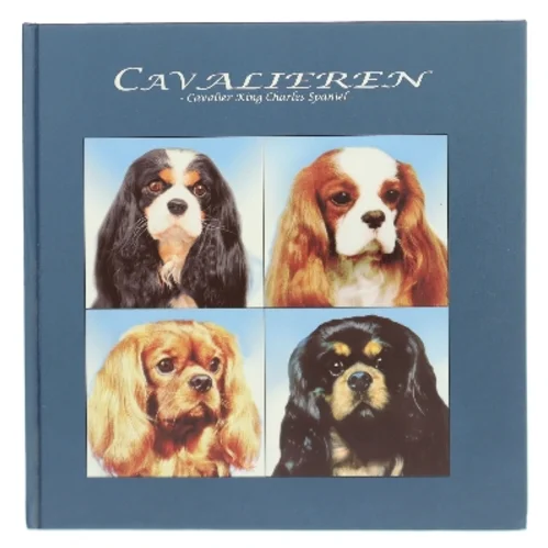 Cavalieren af Ukendt (Bog)