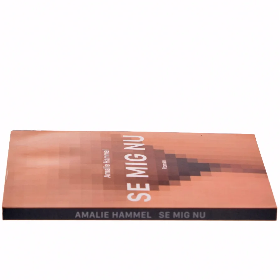 Se mig nu : roman af Amalie Hammel (f. 1993) (Bog)