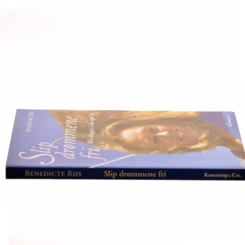 Slip drømmene fri : bliv skipper i dit eget liv af Benedicte Riis (Bog)