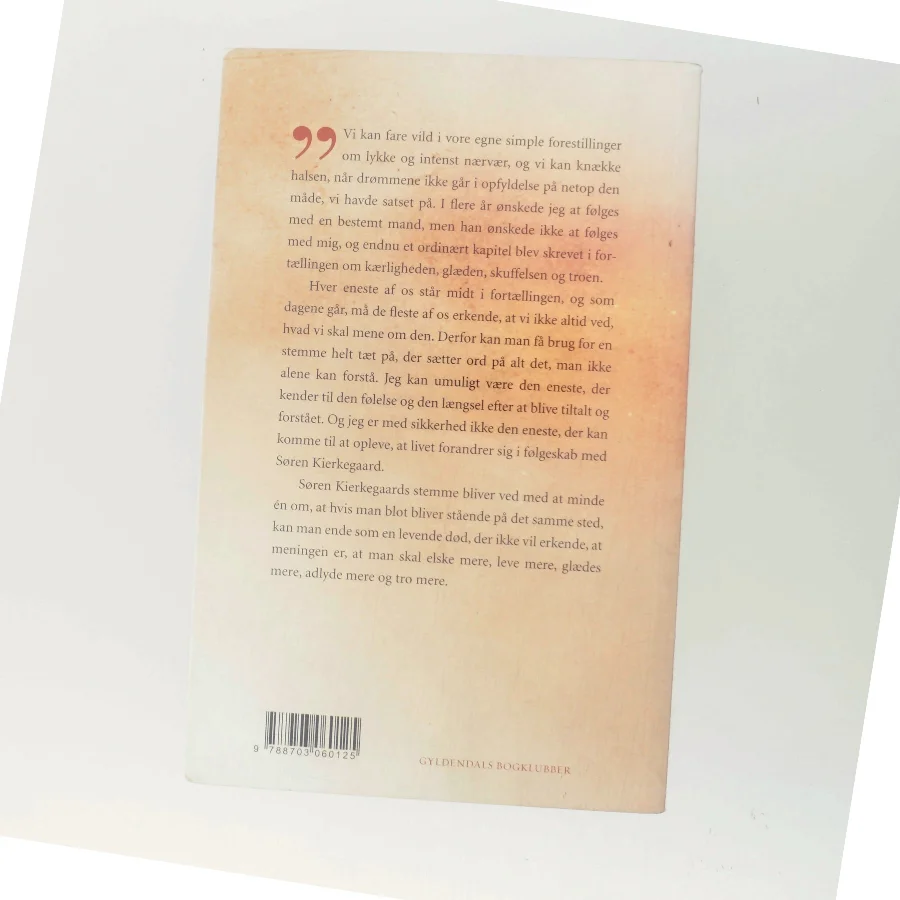 At leve med Kierkegaard af Sørine Gotfredsen (Bog)