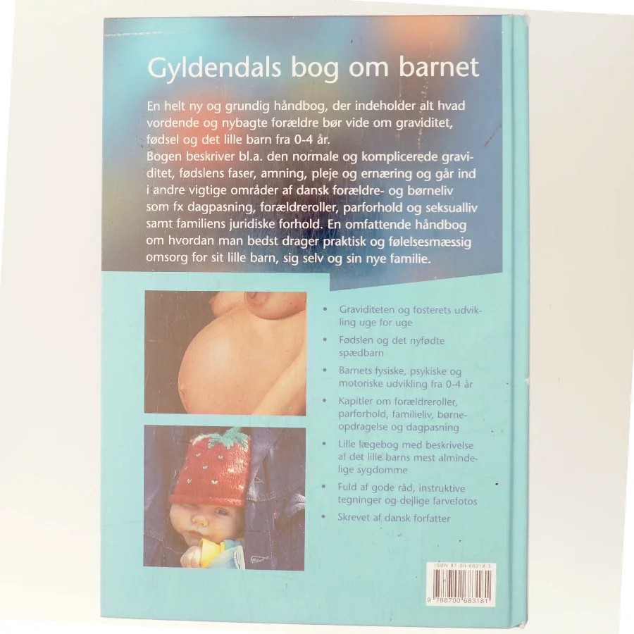 Gyldendals bog om barnet af Anna Louise Stevnhøj (Bog)