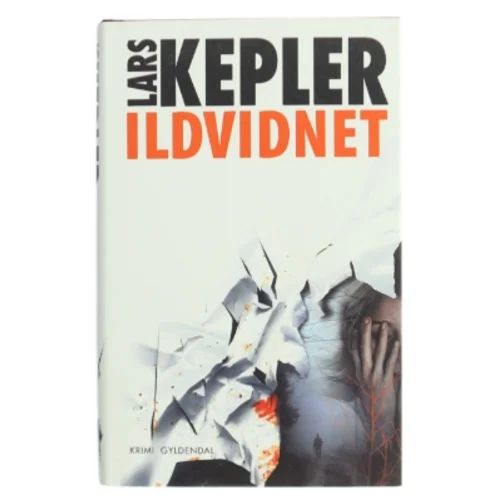 Ildvidnet af Lars Kepler (Bog)