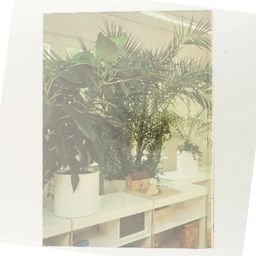 Grønne planter af <Bog forfattere ukendte> (Bog)