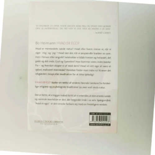 Hvad er Ego? af Bo Heimann (Bog)
