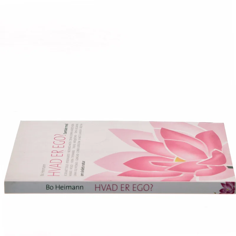 Hvad er Ego? af Bo Heimann (Bog)