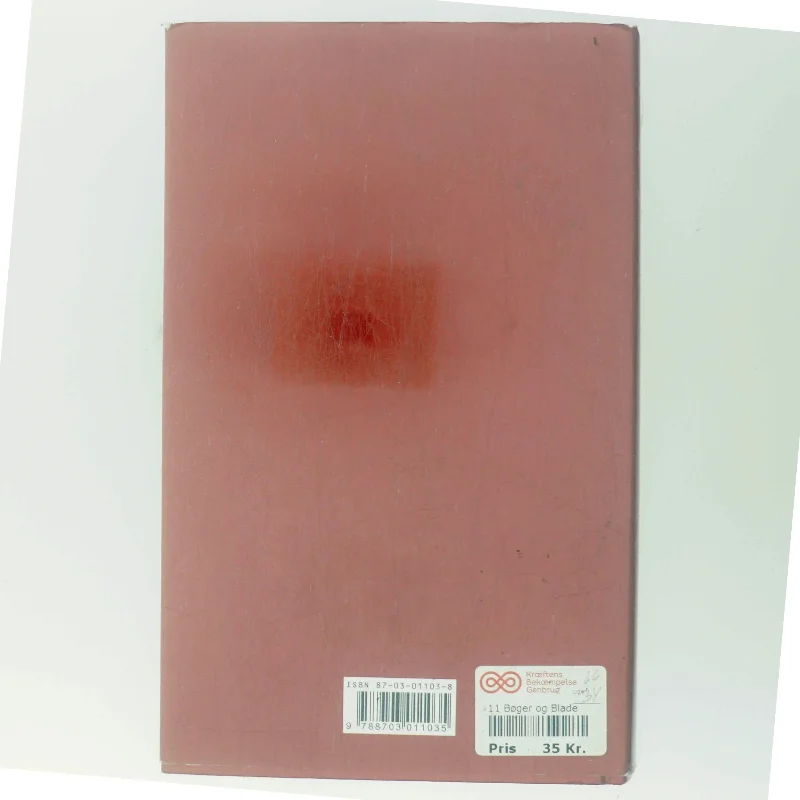 Indtil jeg finder dig af John Irving (Bog)