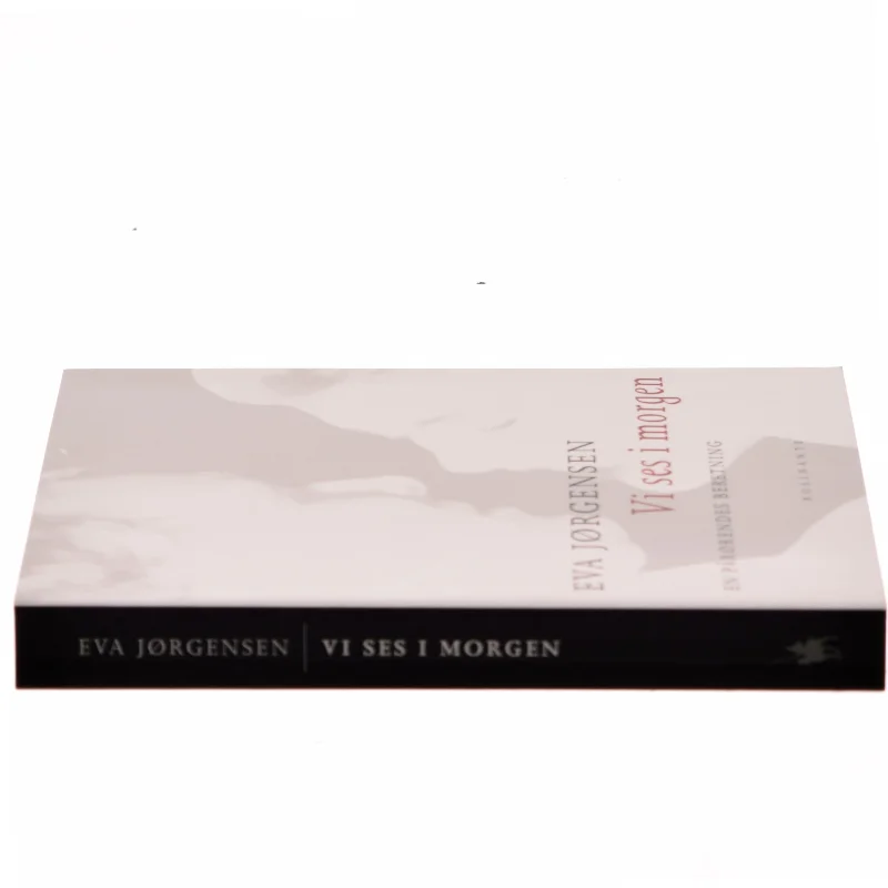 Vi ses i morgen af Eva Jørgensen (Bog) fra Rosinante