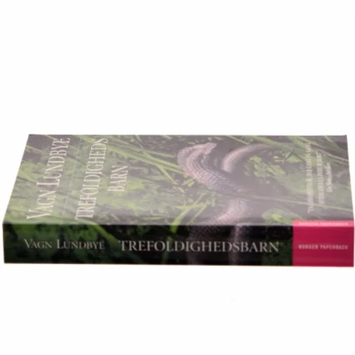 Treåndighedsbarn af Vagn Lundbye