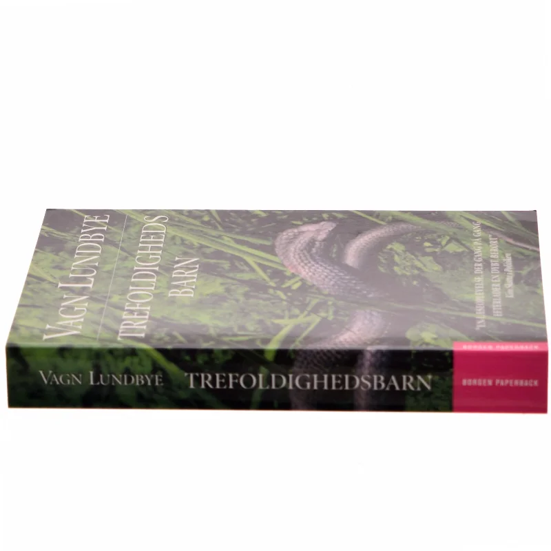 Treåndighedsbarn af Vagn Lundbye