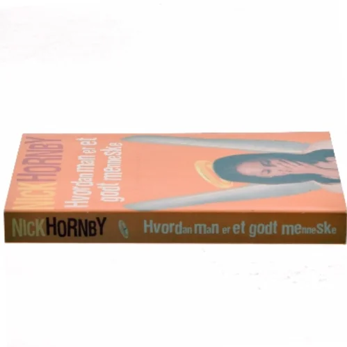 Hvordan man er et godt menneske af Nick Hornby (Bog)