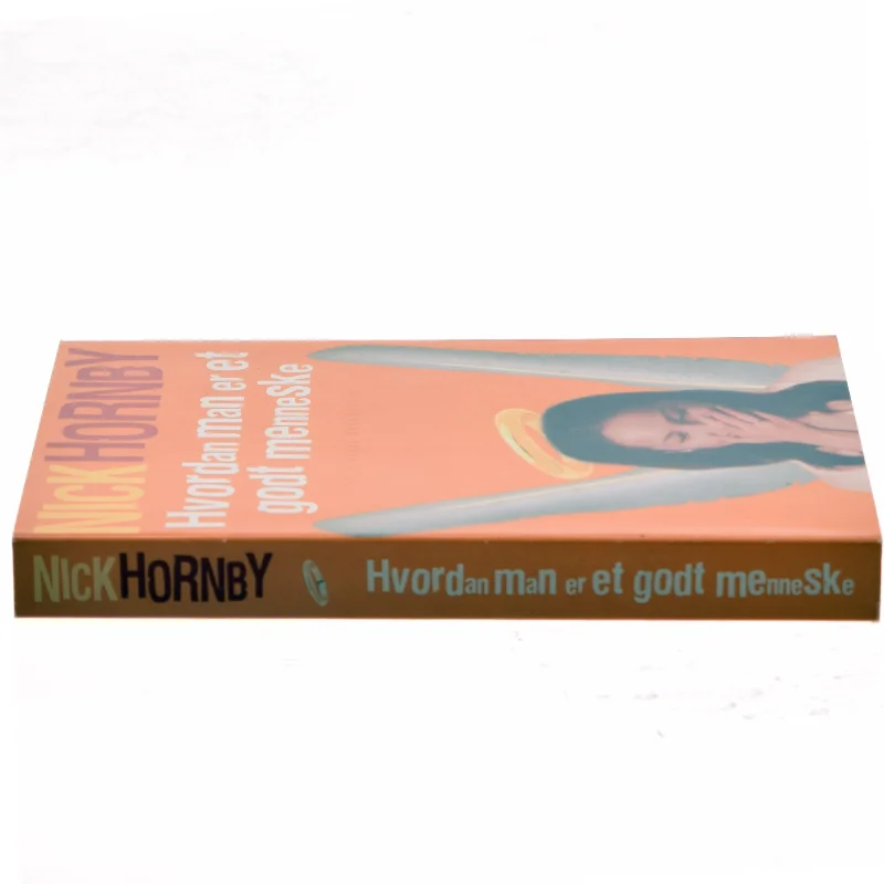 Hvordan man er et godt menneske af Nick Hornby (Bog)