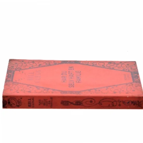 Har du selv haft en familie : roman af Bill Clegg (Bog)