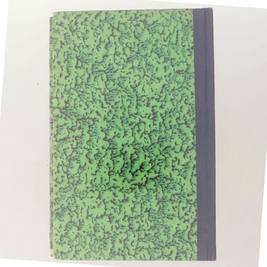 Vi giver aldrig op af Daphne Du Maurier (Bog)