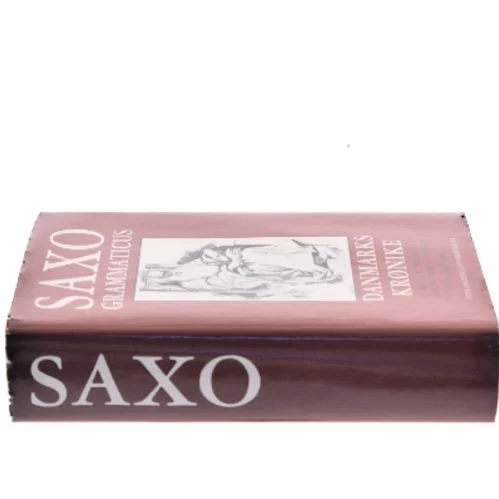 Danmarks Krønike af Saxo Grammaticus (Bog)