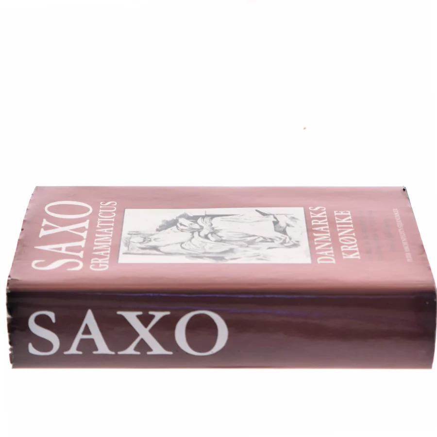 Danmarks Krønike af Saxo Grammaticus (Bog)