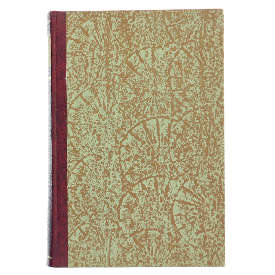 Mafia: The Godfather af Mario Puzo (Bog)