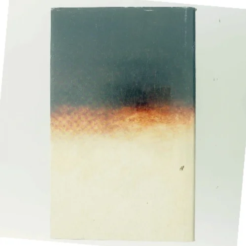 Mørklægning af Anders Bodelsen (Bog)