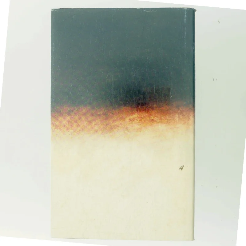 Mørklægning af Anders Bodelsen (Bog)