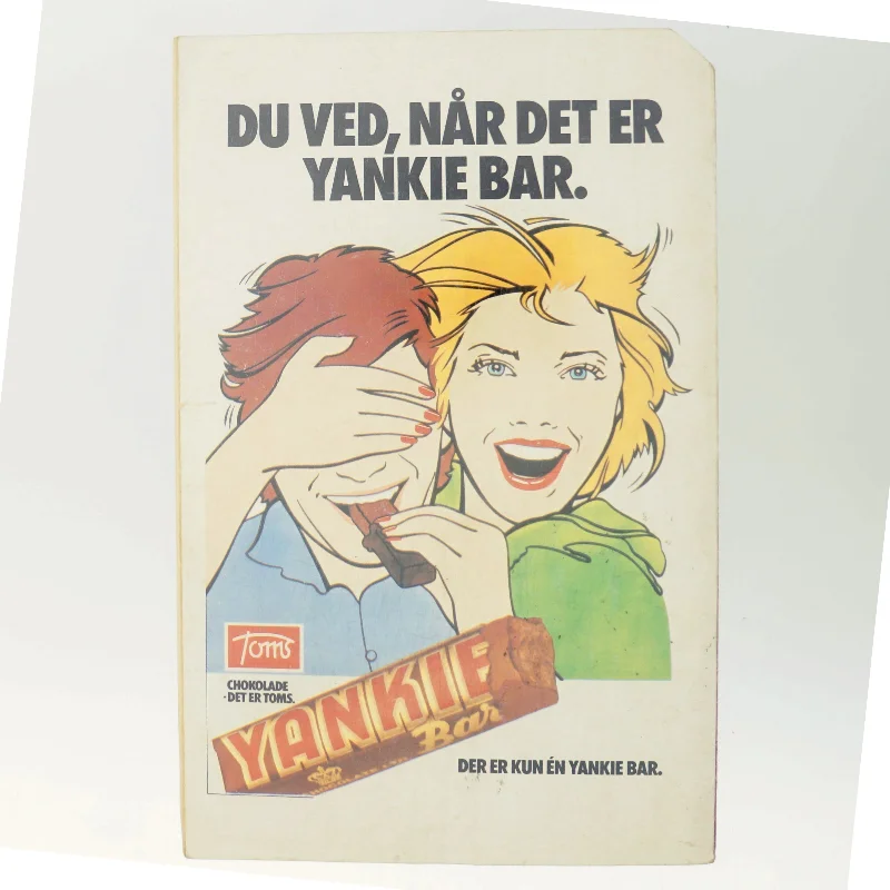 Agent X9: Vildkattene (Bog)