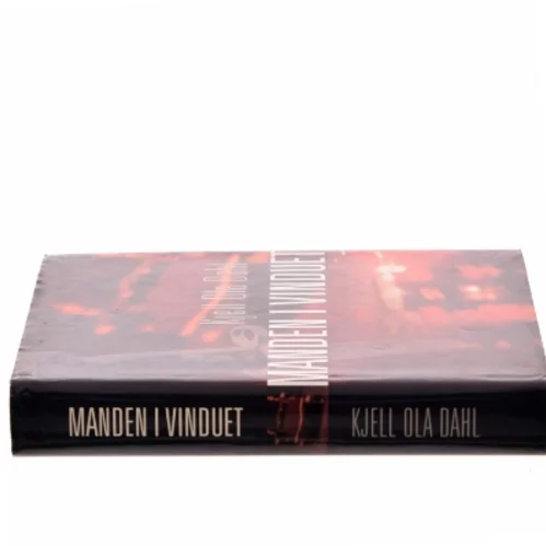 Manden i Vinduet af Kjell Ola Dahl (Bog)