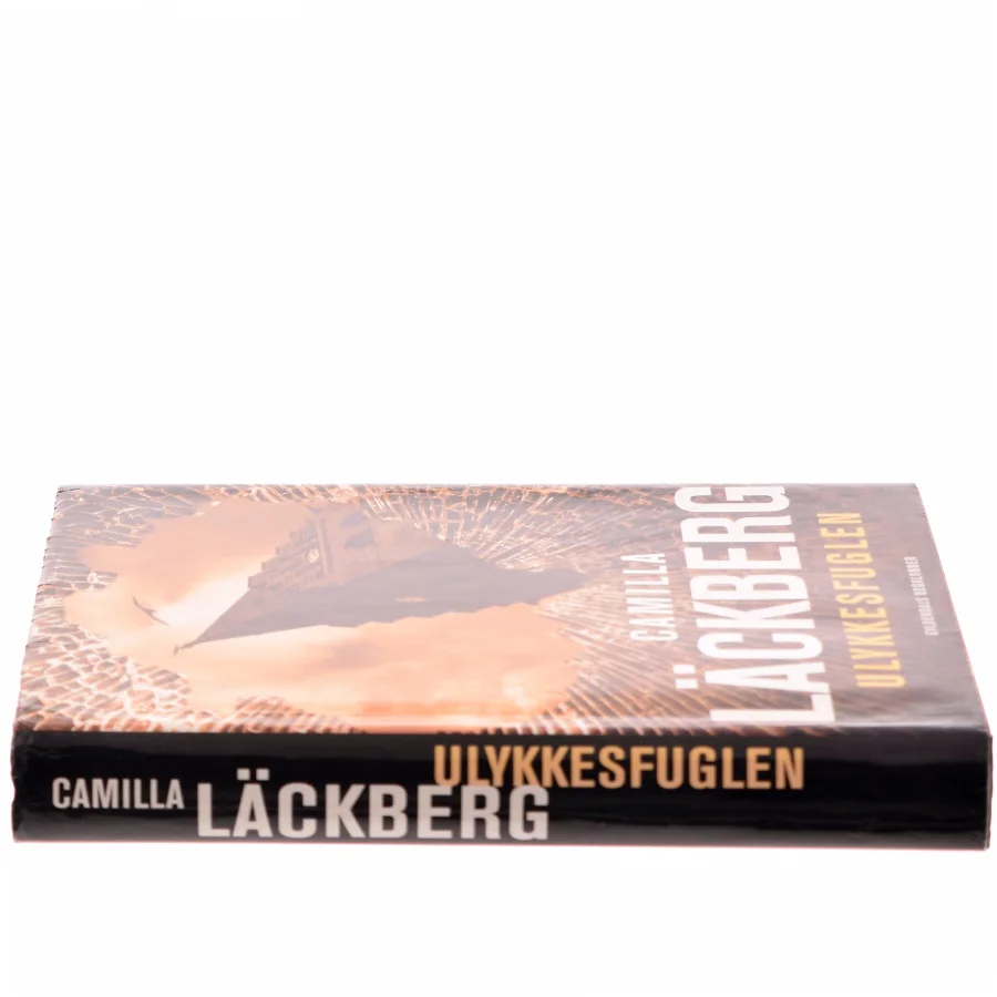 Ulykkesfuglen : kriminalroman af Camilla Läckberg (Bog)