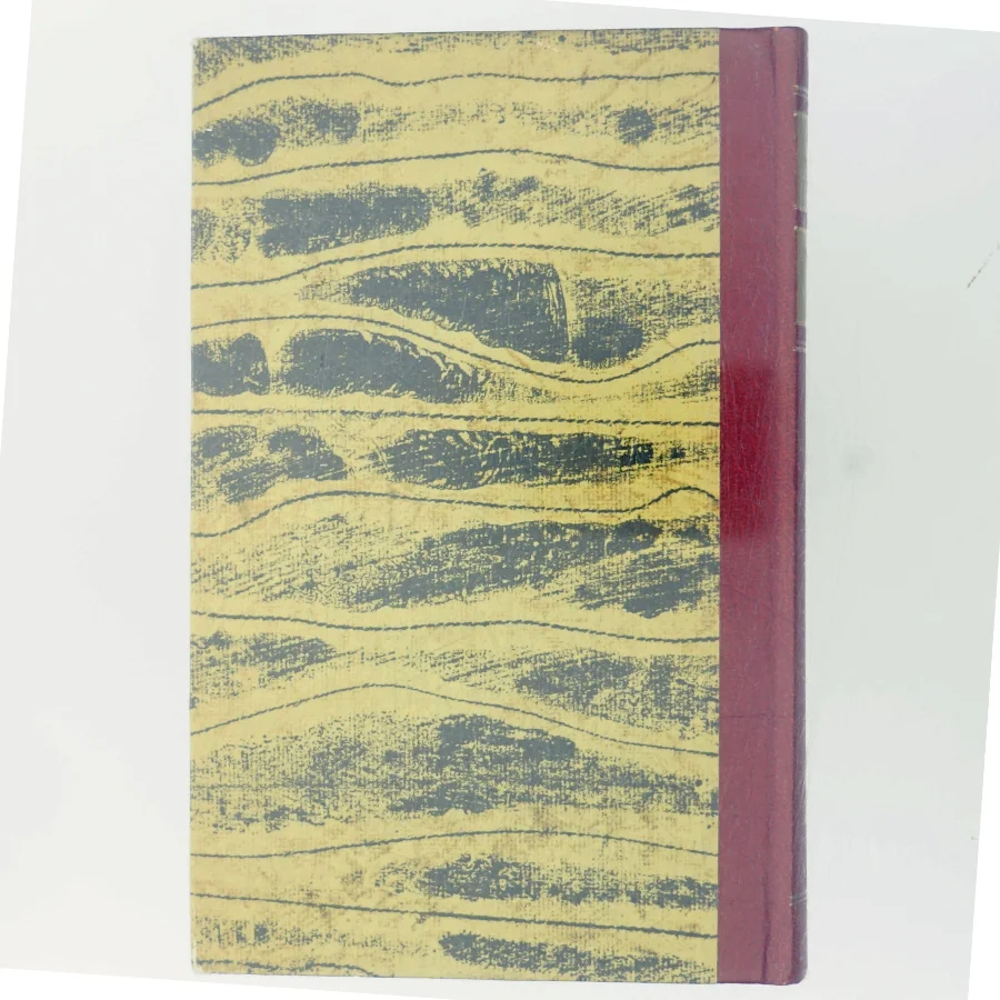 Færger i Natten af George MacDonald (Bog)