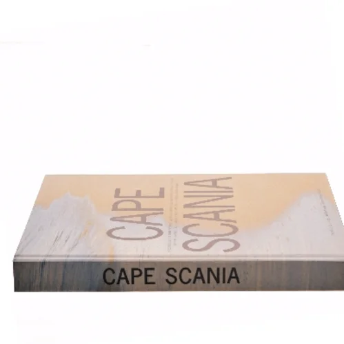 Cape Scania af Lars Åberg (Bog)